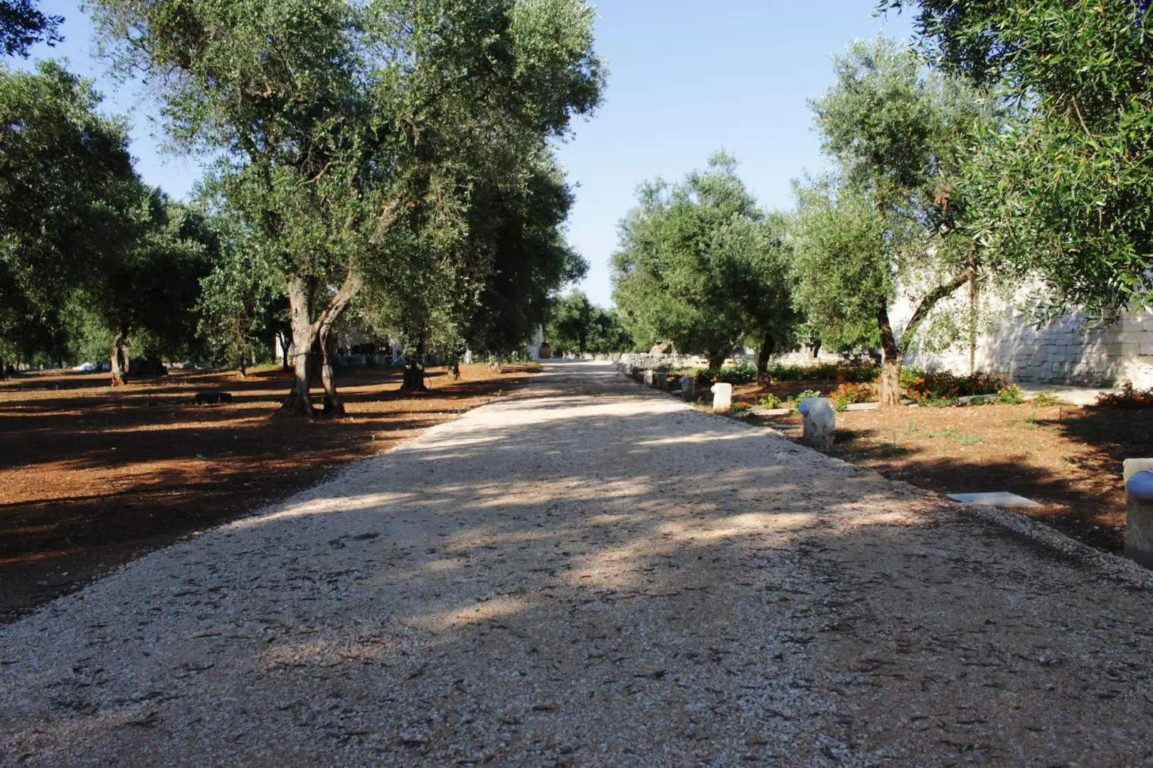 Tenuta Pigliano