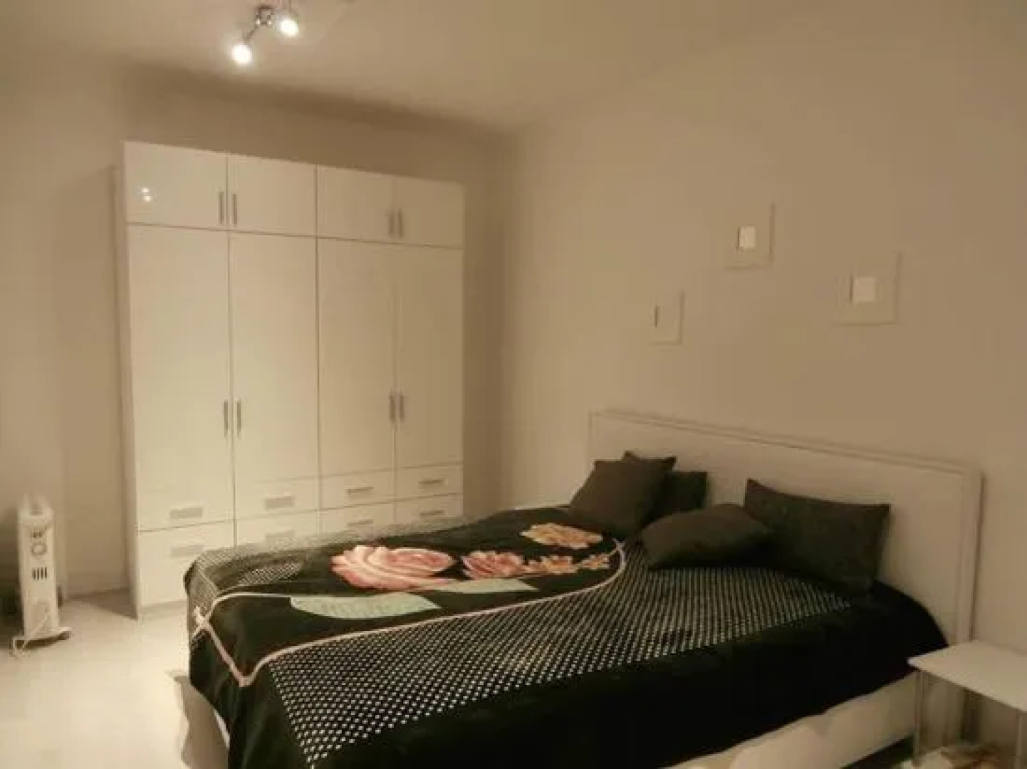 Apartment Mladějovského