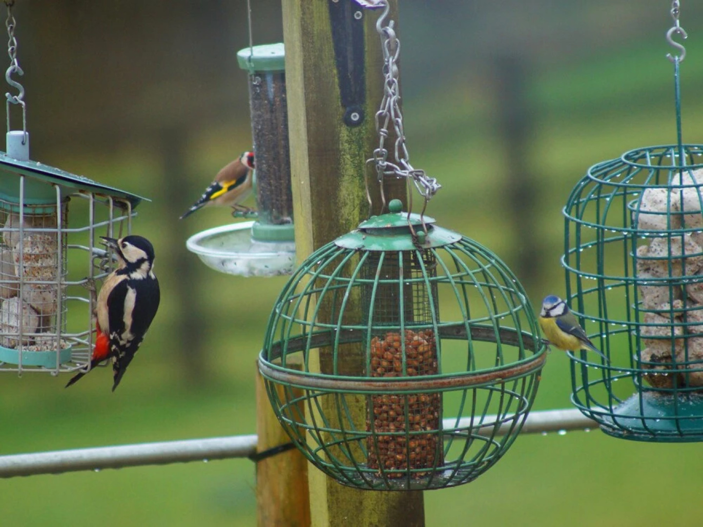 Beautiful Cotswold View