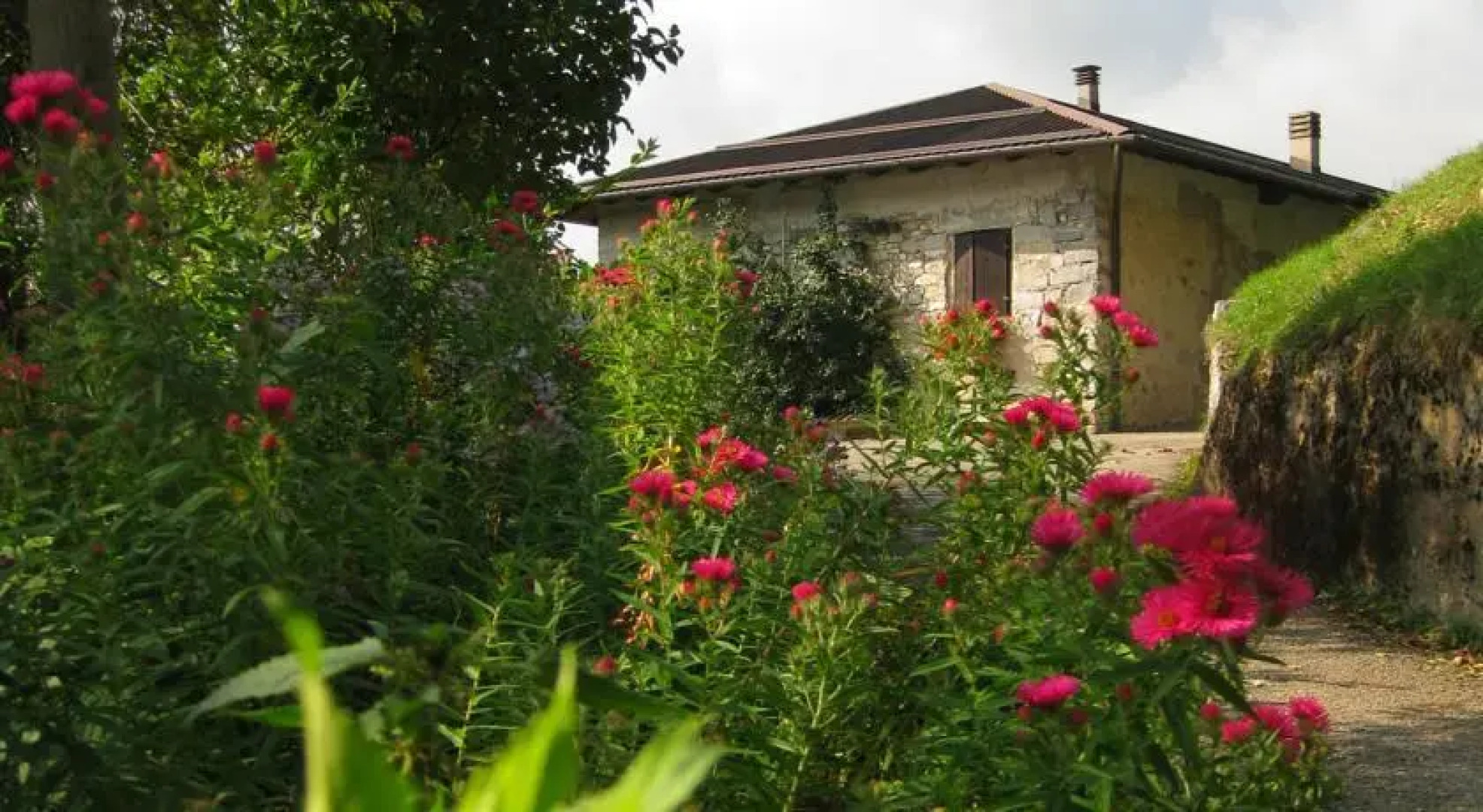 Holiday home Maso Mersi