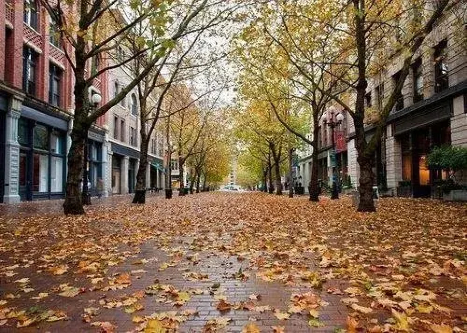 Belltown Court South