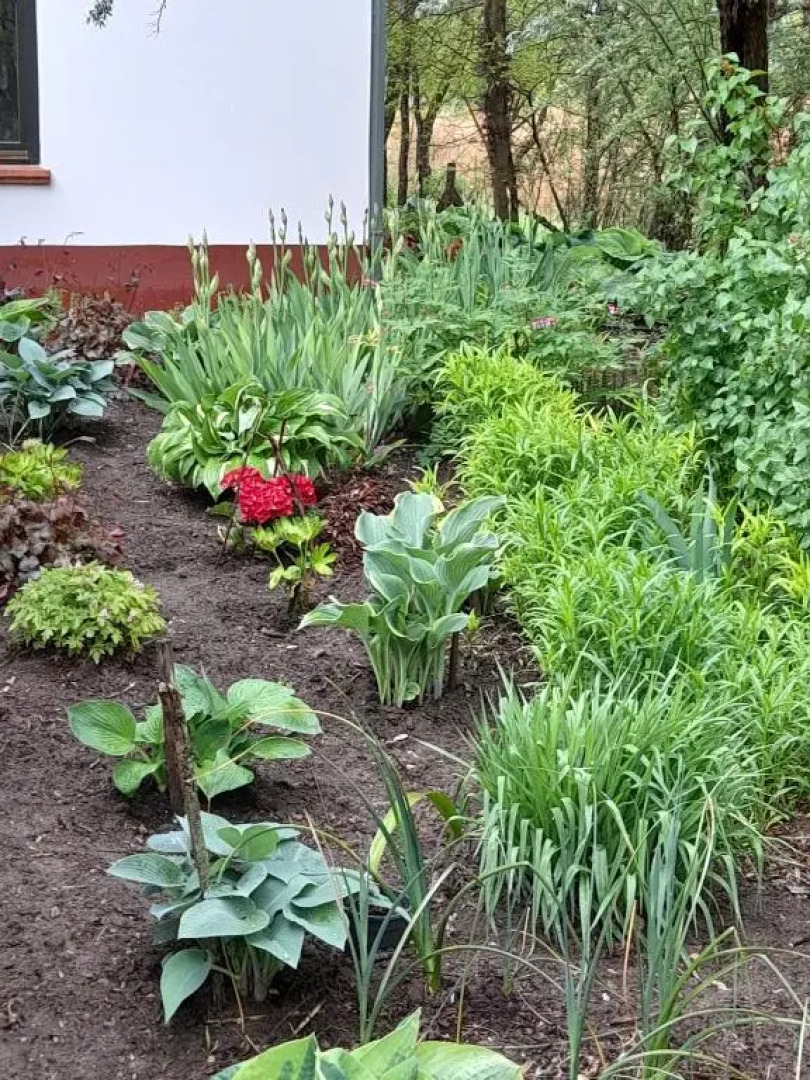 Guest House Vidravar