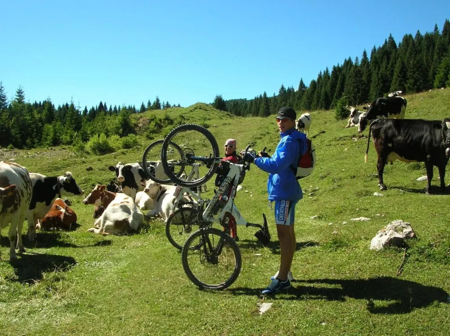 Alpine Smart Residence