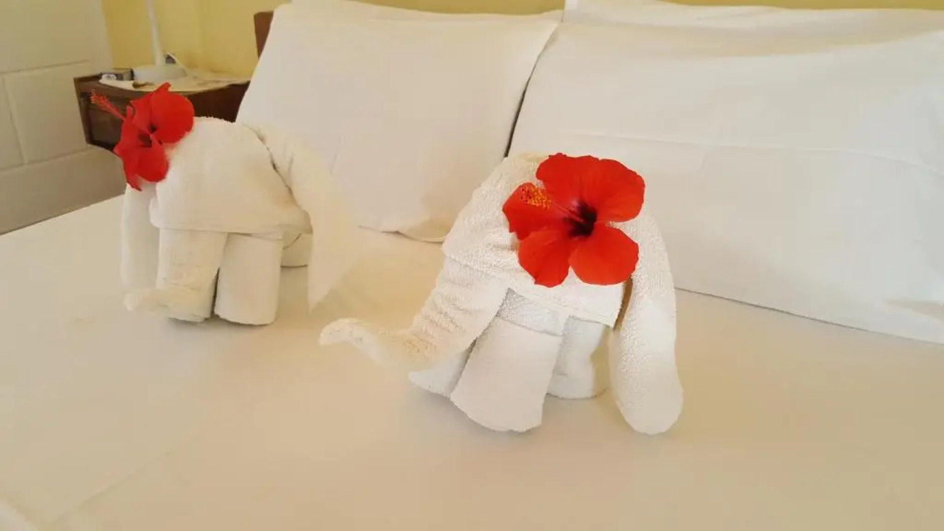 Apolloneia Apartments