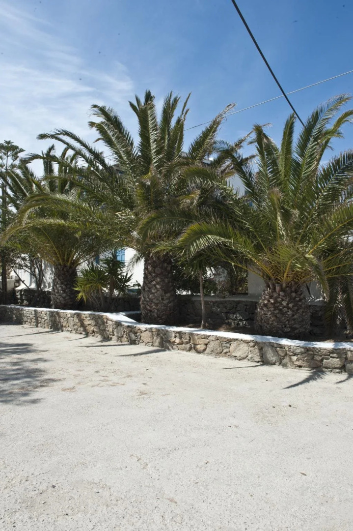 Filoxenia Apartments Mykonos