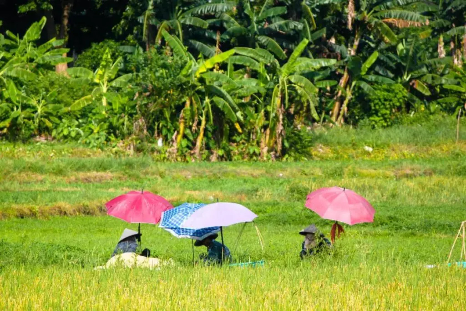 CoTo Starlight Boutique Hotel