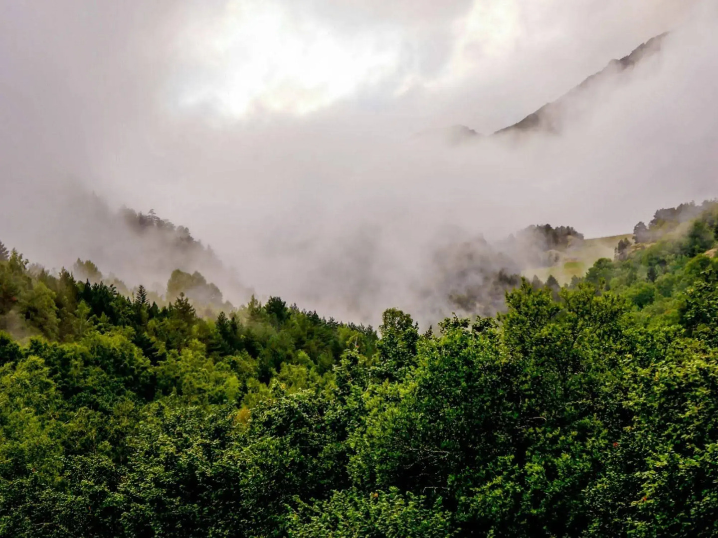 Aparthotel Rialb Andorra