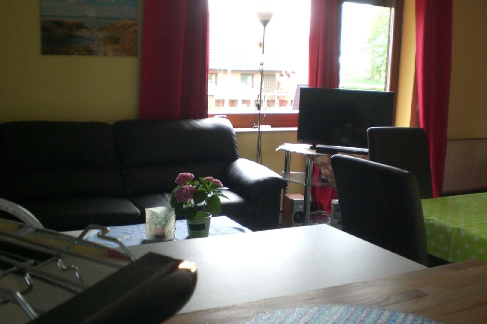 Komfortable-Ferienwohnung-in-Waabs-Ostsee-Damp-Eckernfoerde