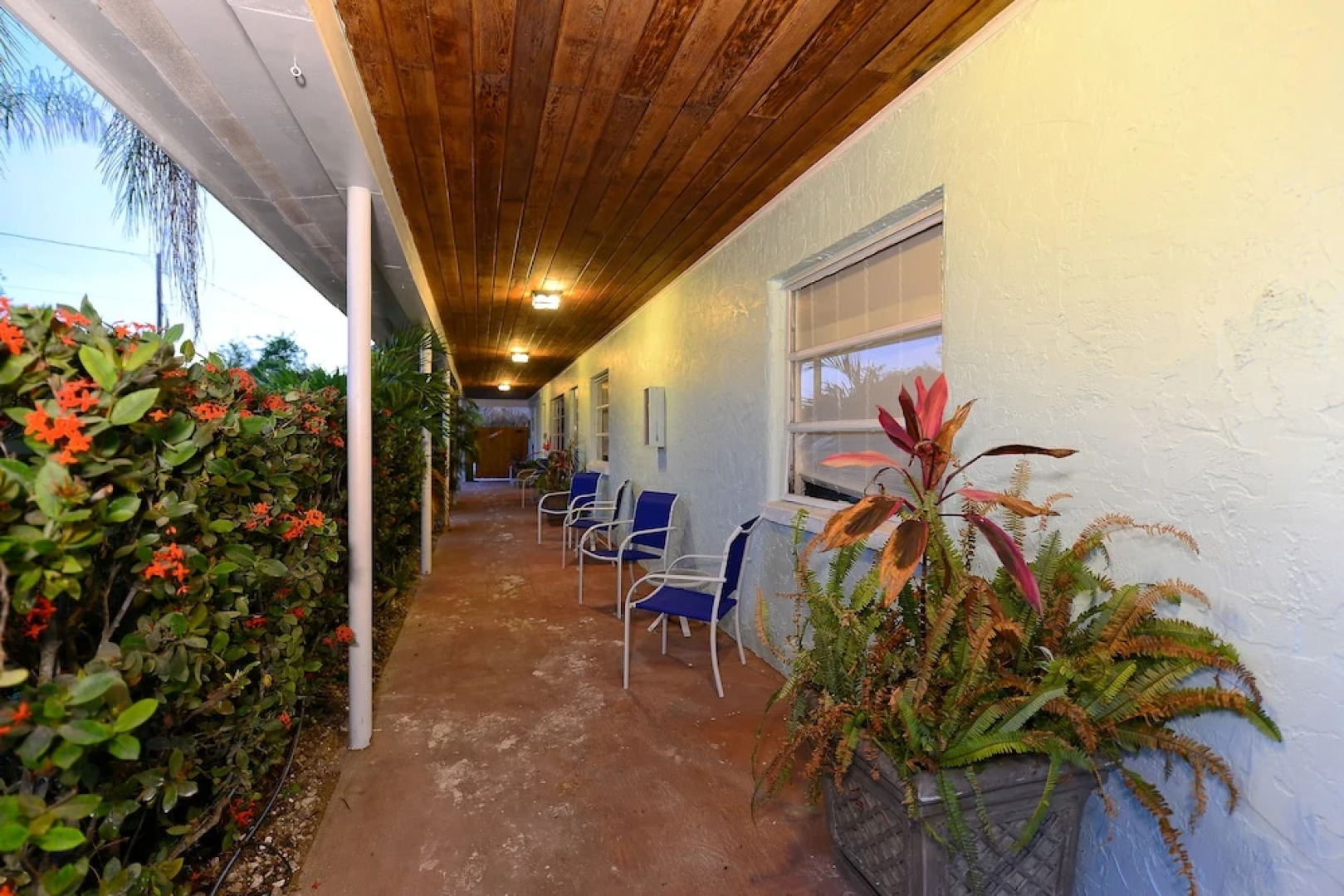 The Elephant Ear Cabanas