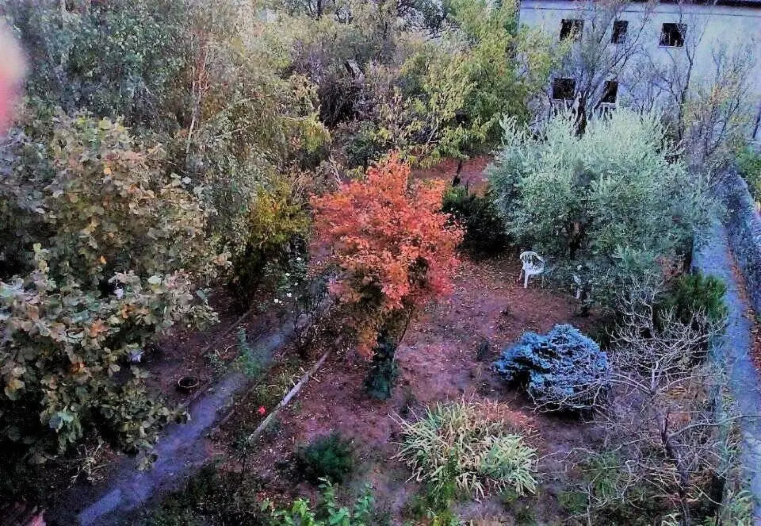 Il Giardino dei Merli