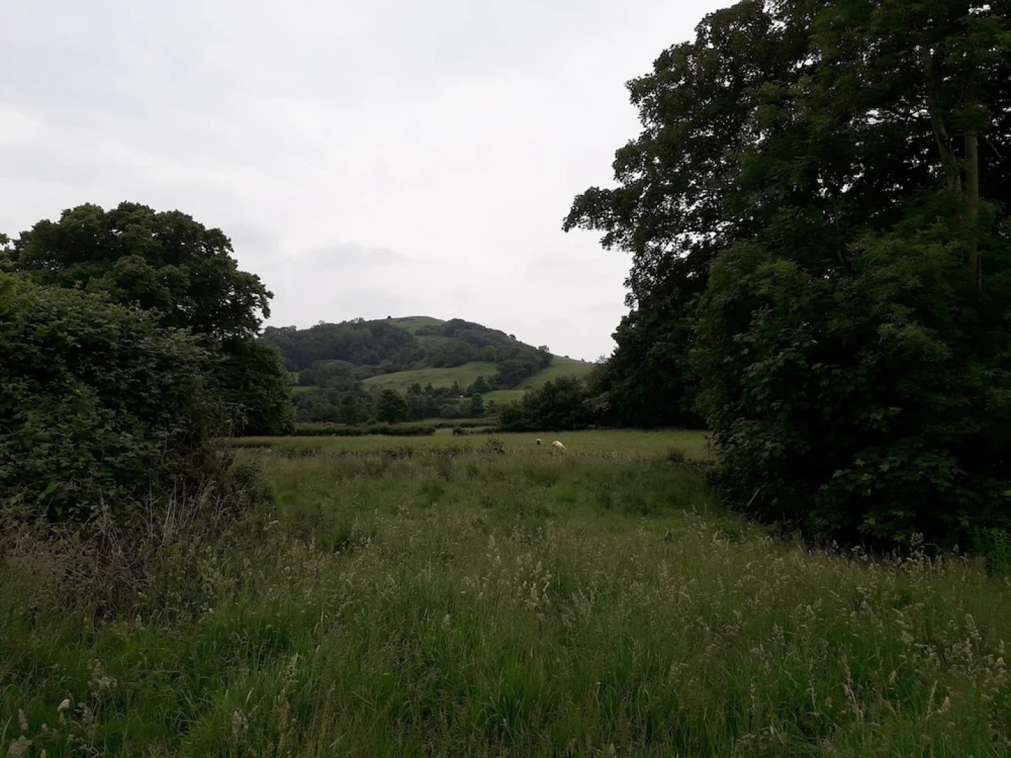 The Victorian House B&B