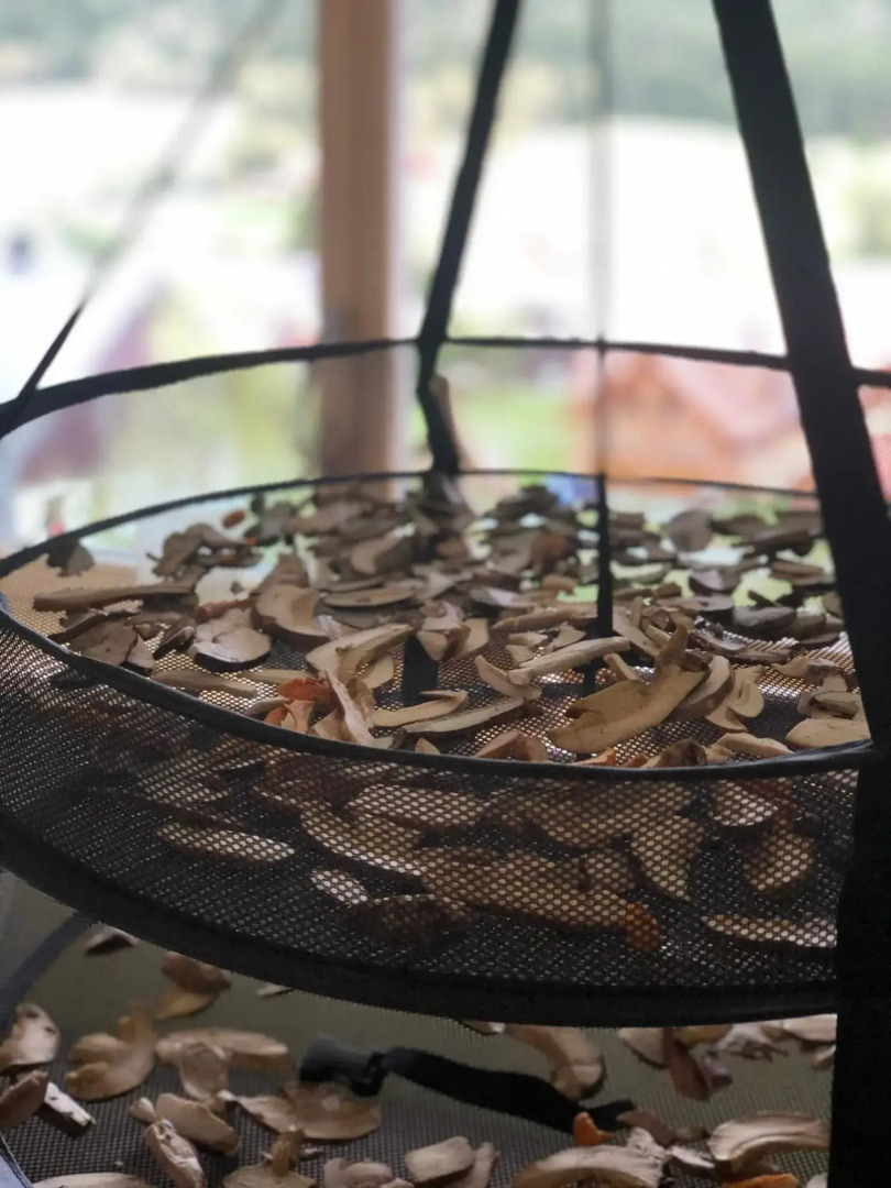 Kvilda Kilián apartmán Javor