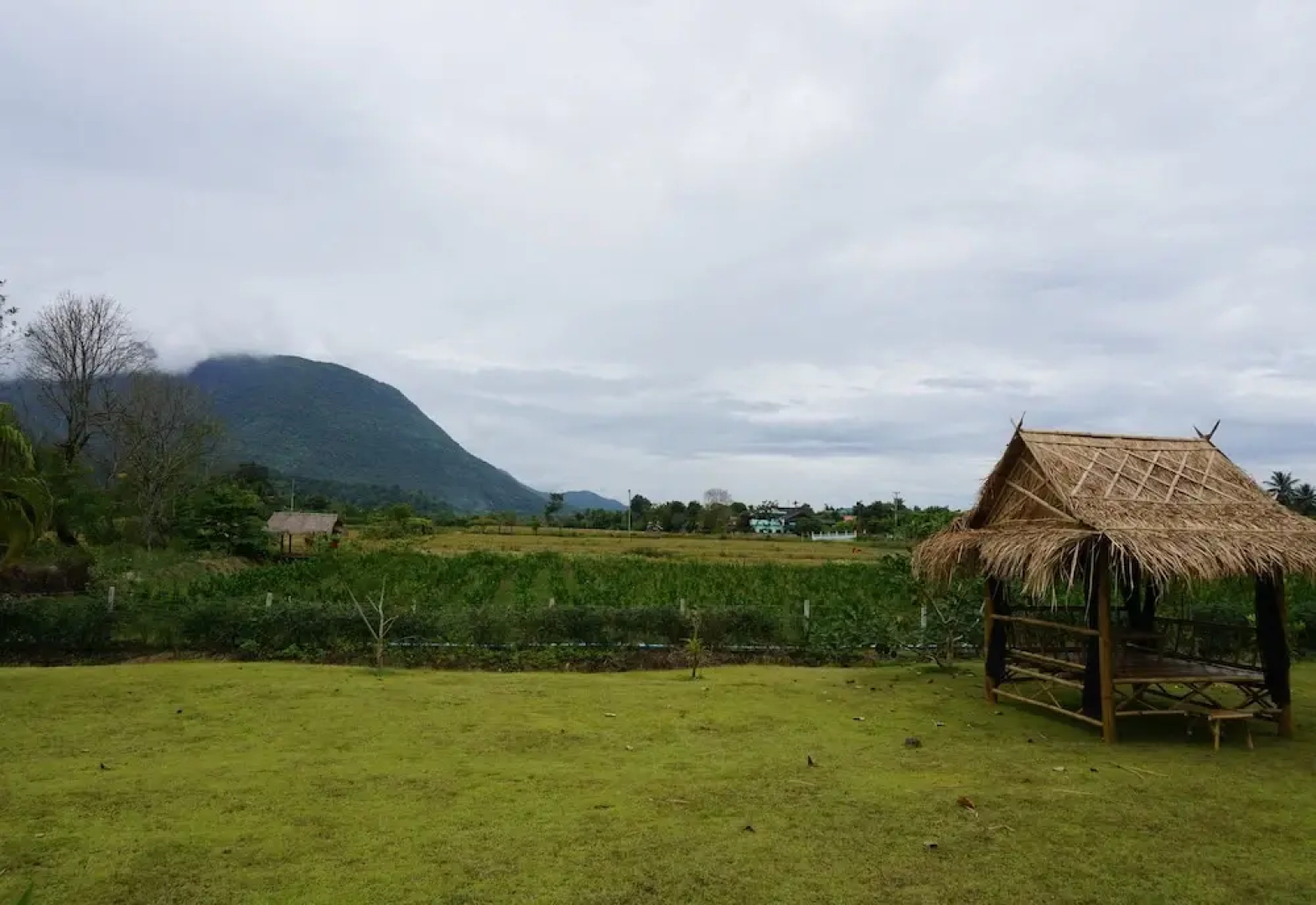 The Wes Village