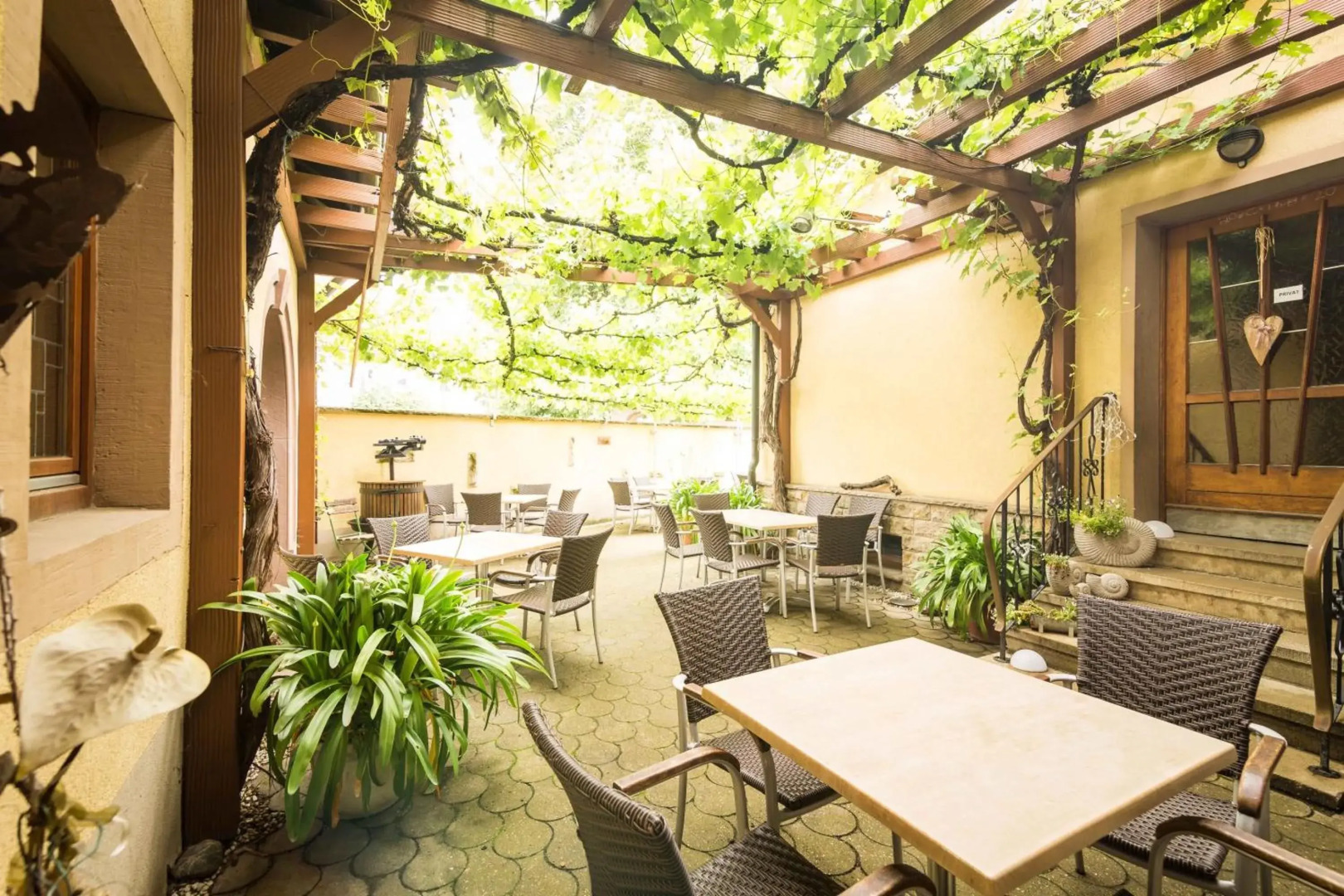 Familienweingut Braun