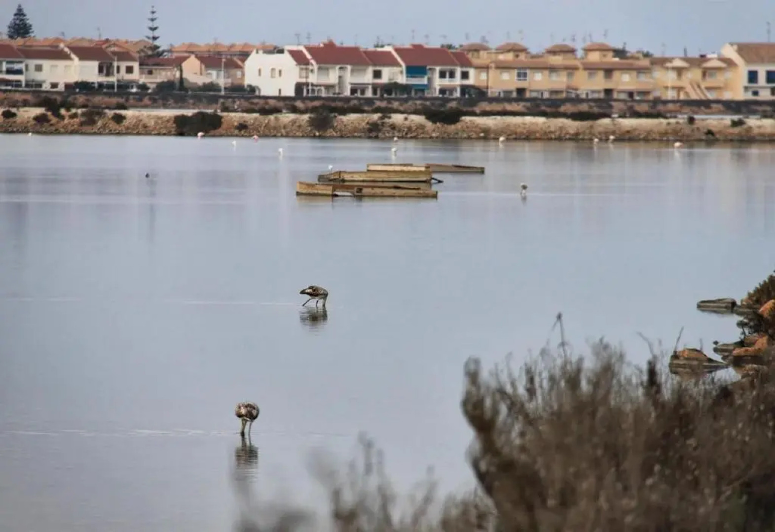 Seaside House in El Mojon
