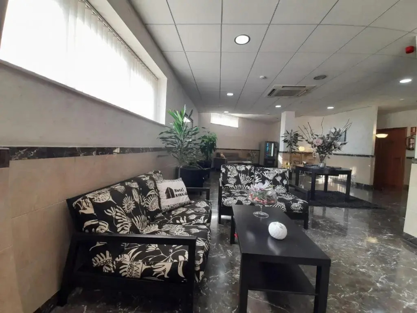 Apartamentos Avenida