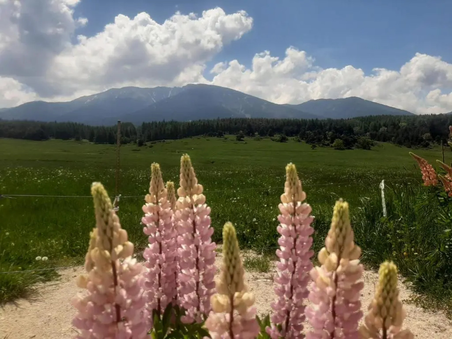 Appart 50m carré maxi 6 personnes vue panoramique montagne