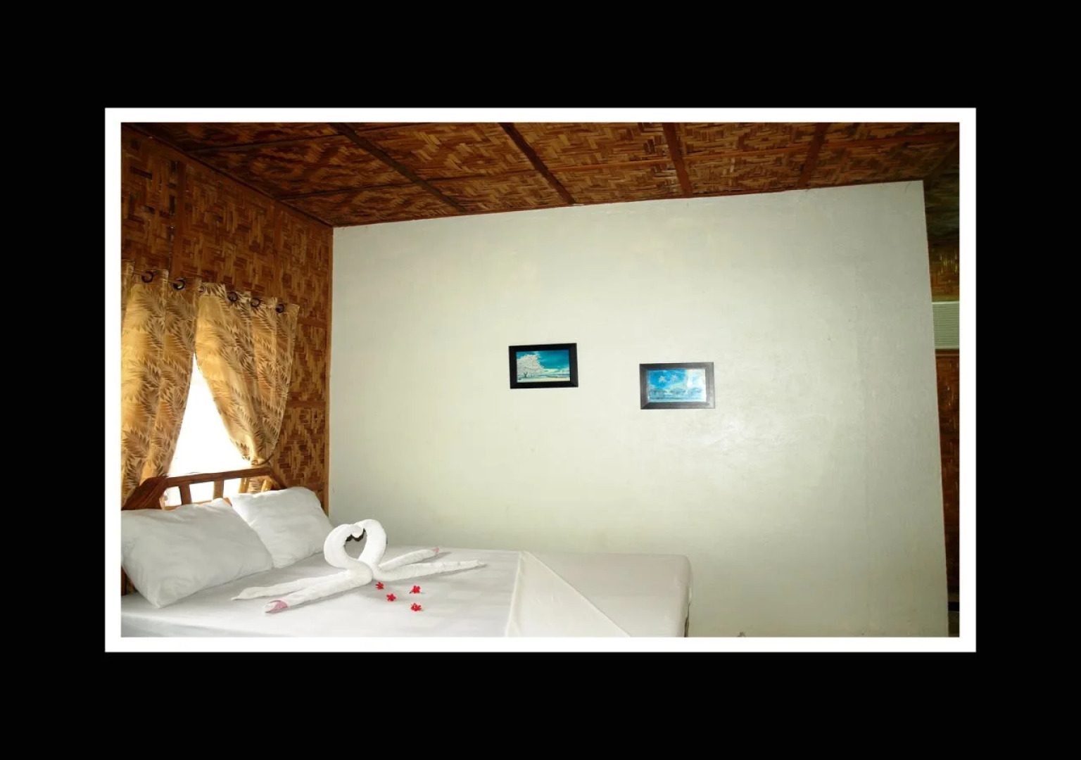 The Sharks Tail Dive Resort