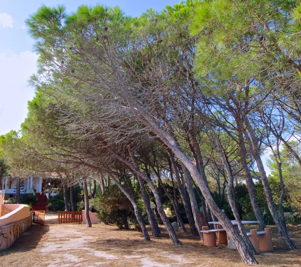 Villa La Maddalena