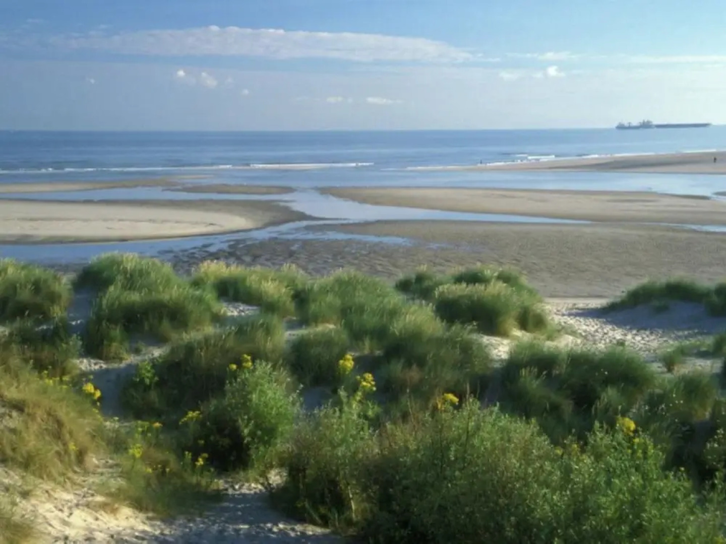Modern beachside apartment in Bray-Dunes close to De Panne