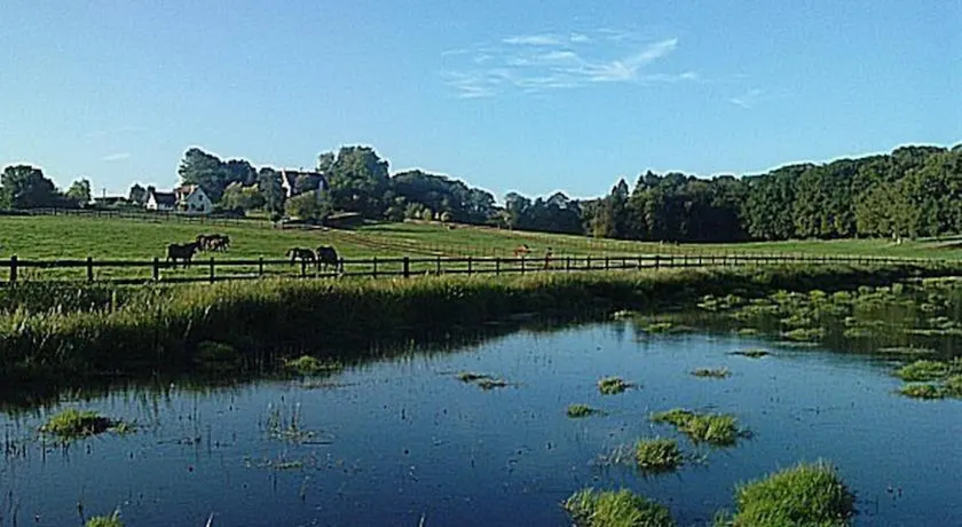 Chambres dhôtes du Haras de Coddes