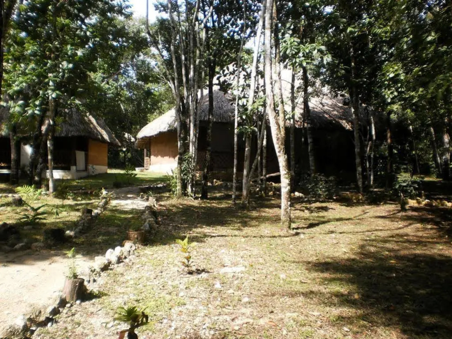 Ecolodge Lacandones - Selva Lacandona