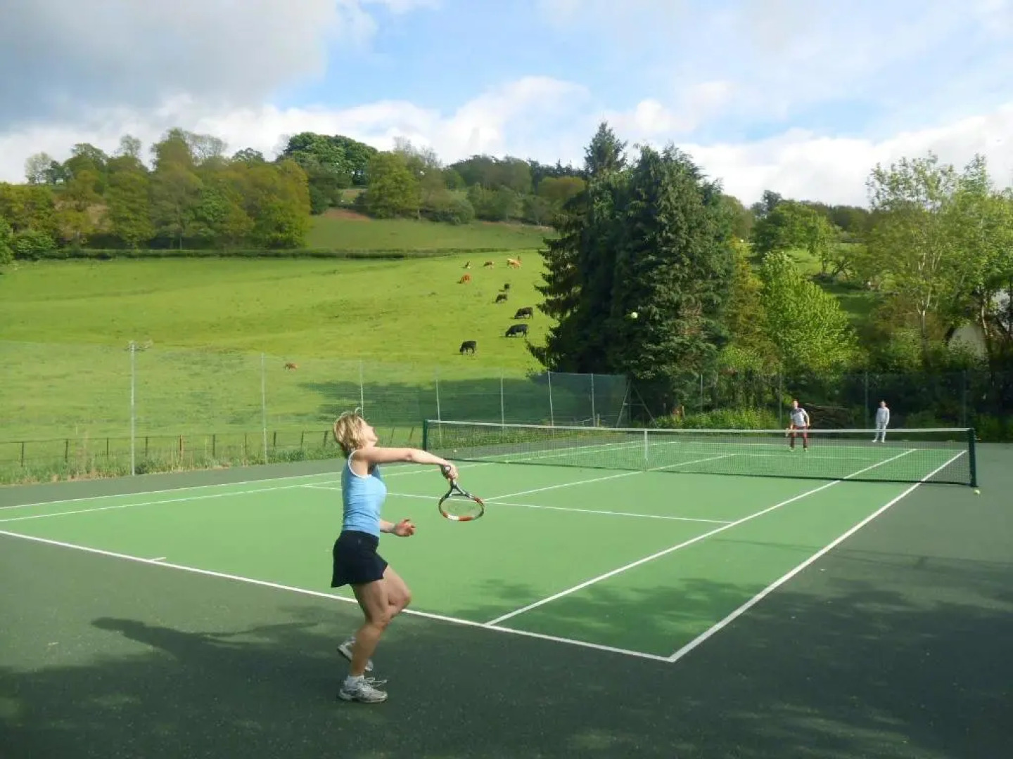 The Forest Country House B&B