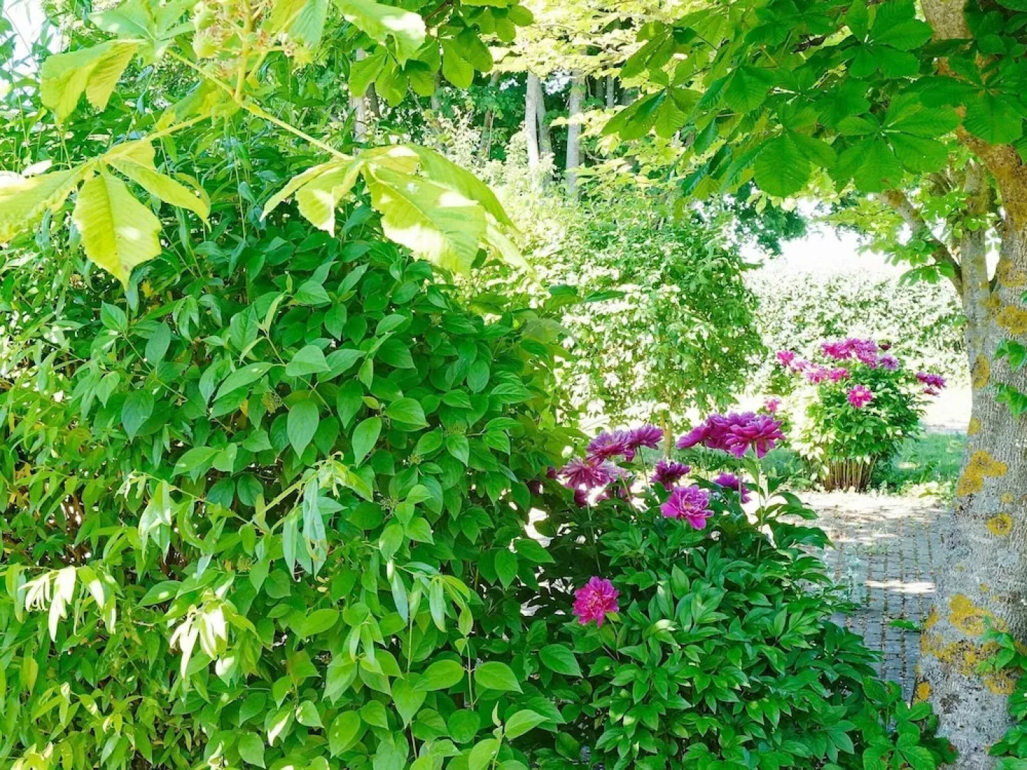 5 Person Holiday Home in Heberg