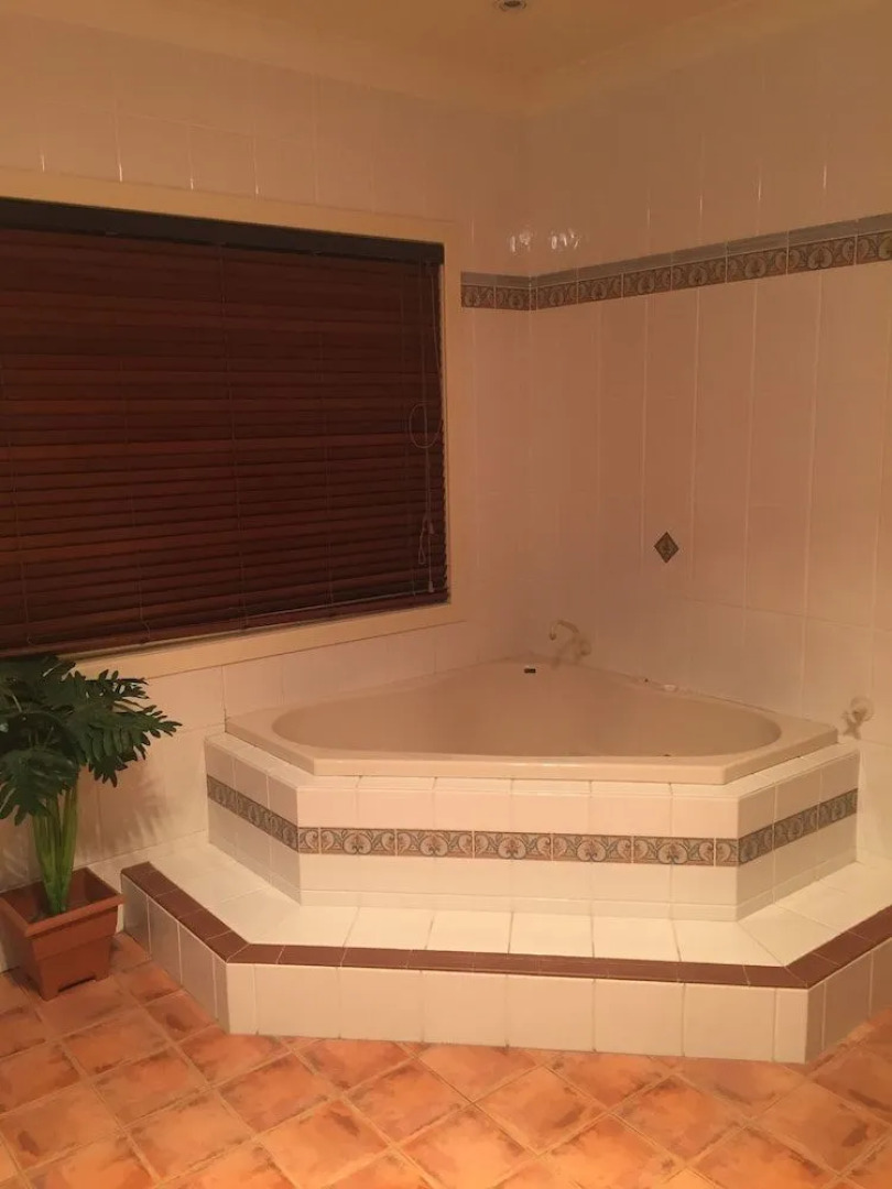 Blackwattle at Barrington Tops