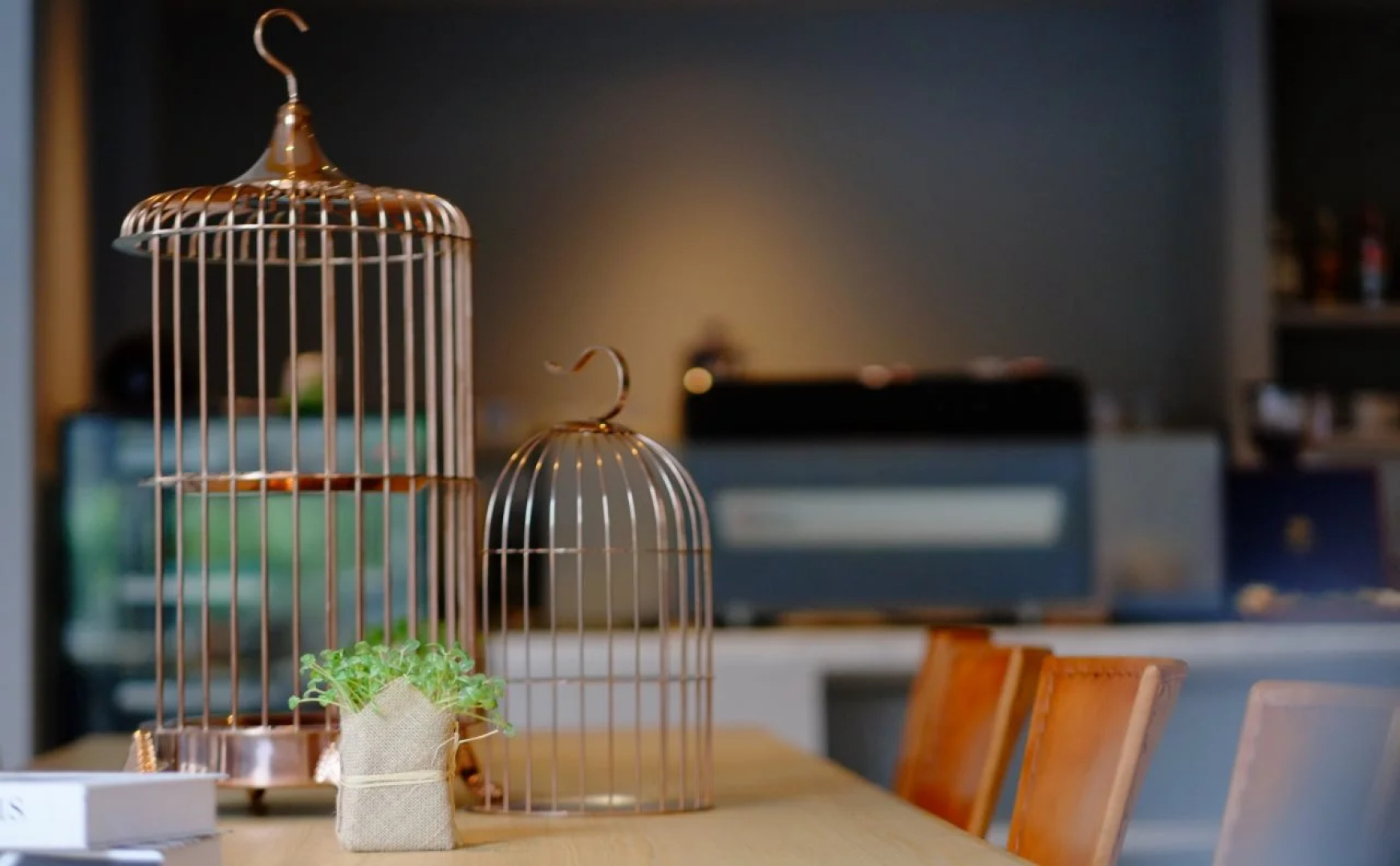 Abloom Exclusive Serviced Apartments