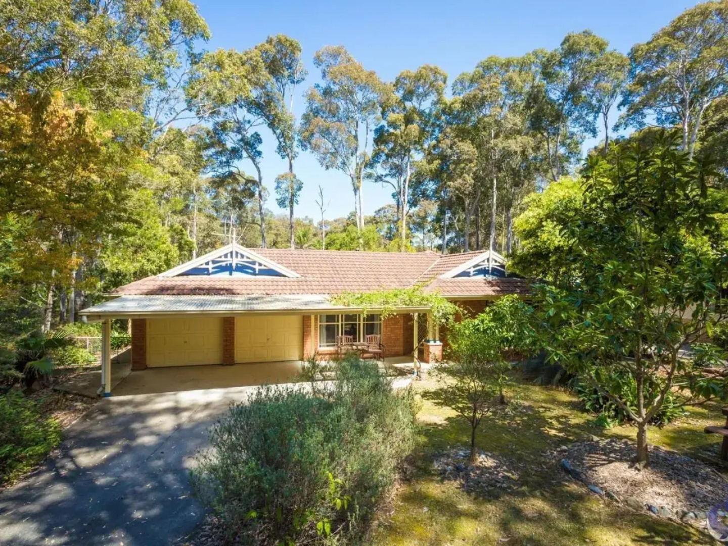 Cherrybush @ Mystery Bay