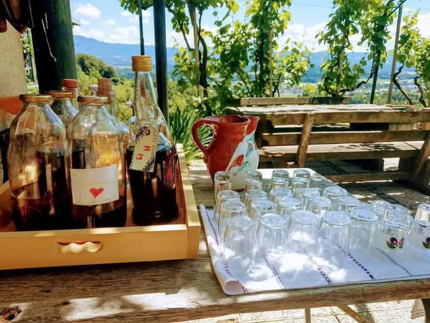 Vineyard cottage Verček