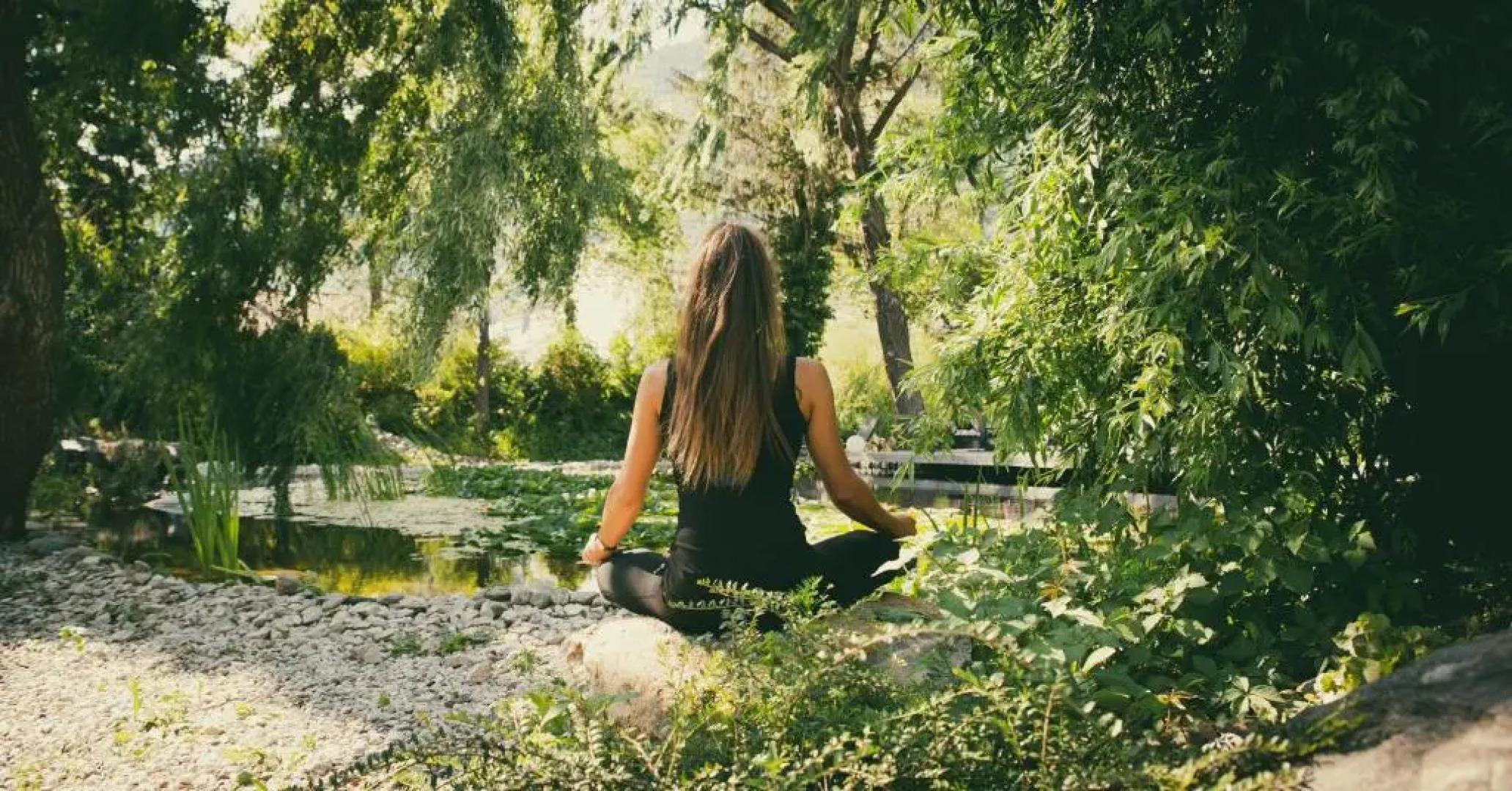 Vegan Hotel LA VIMEA