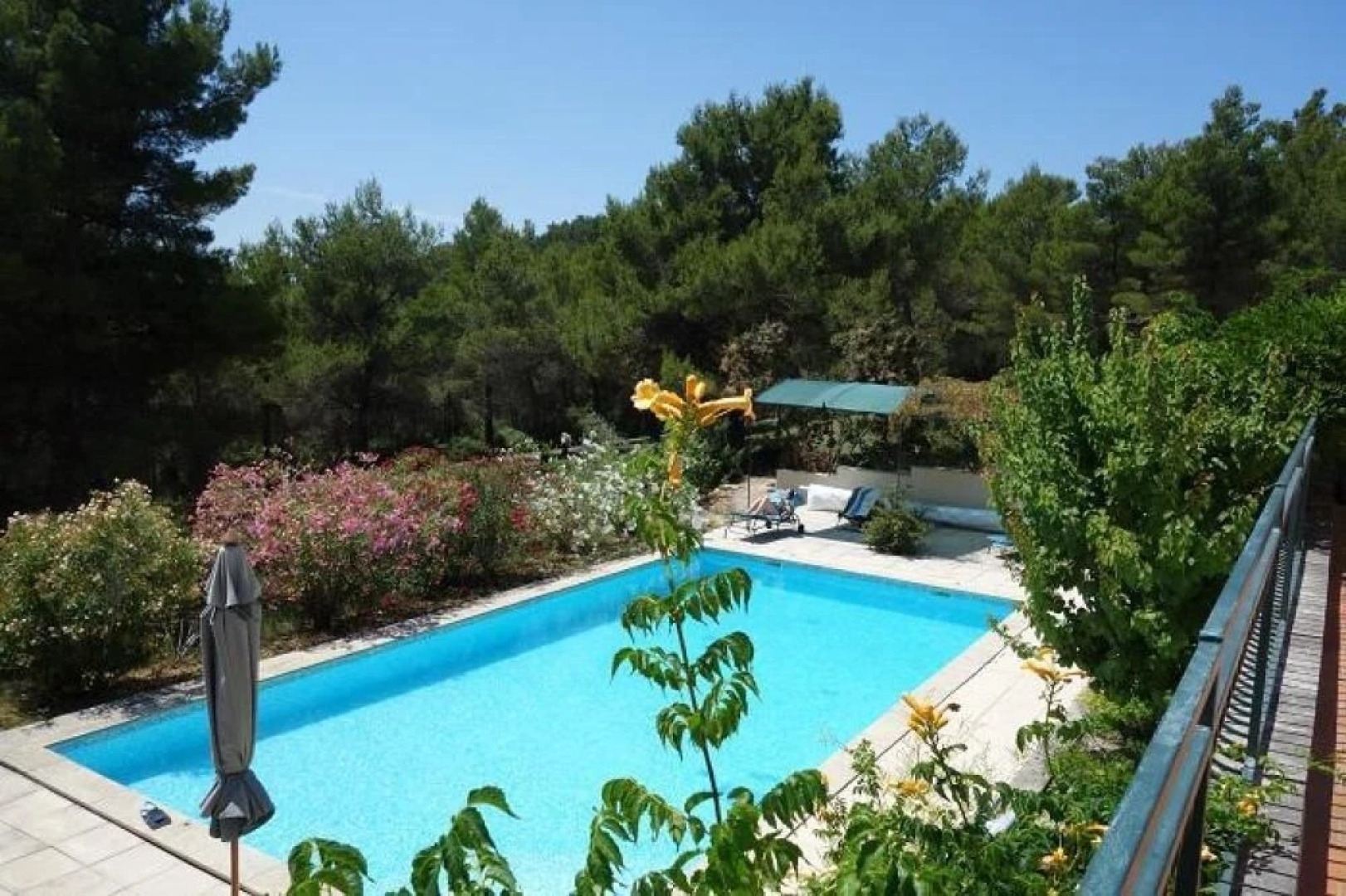 La Pinède du Barroux