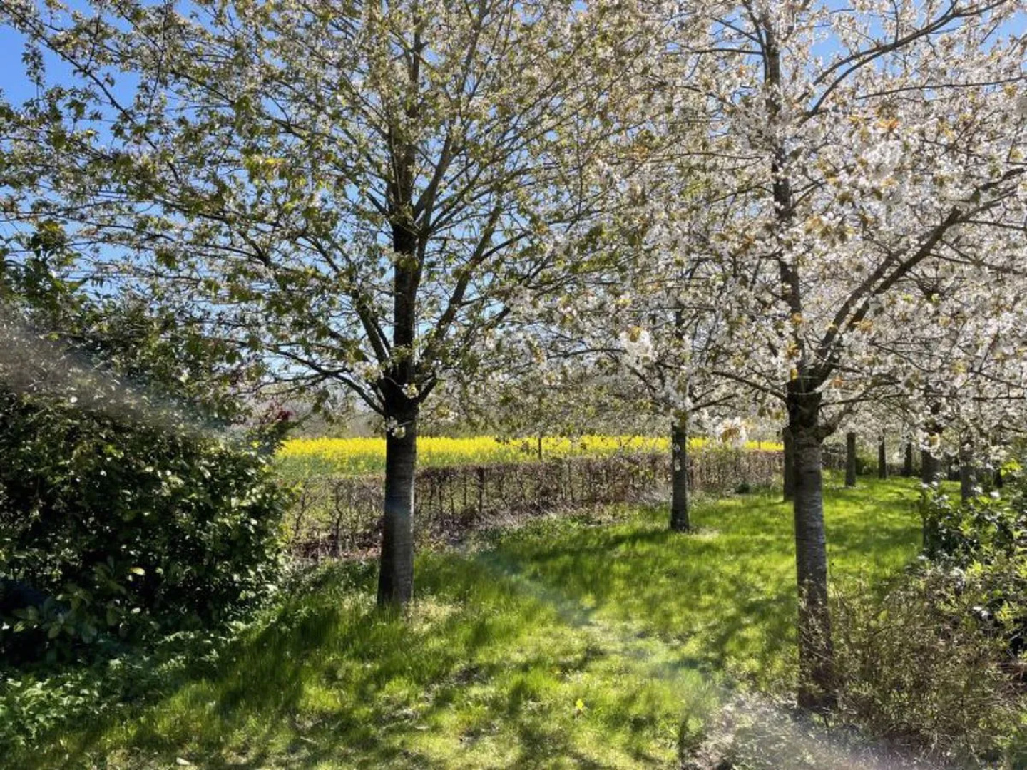 Altherscher Hof - Oase der Ruhe