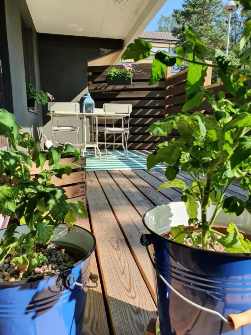 Studiohuoneisto Lohjan keskusta 2