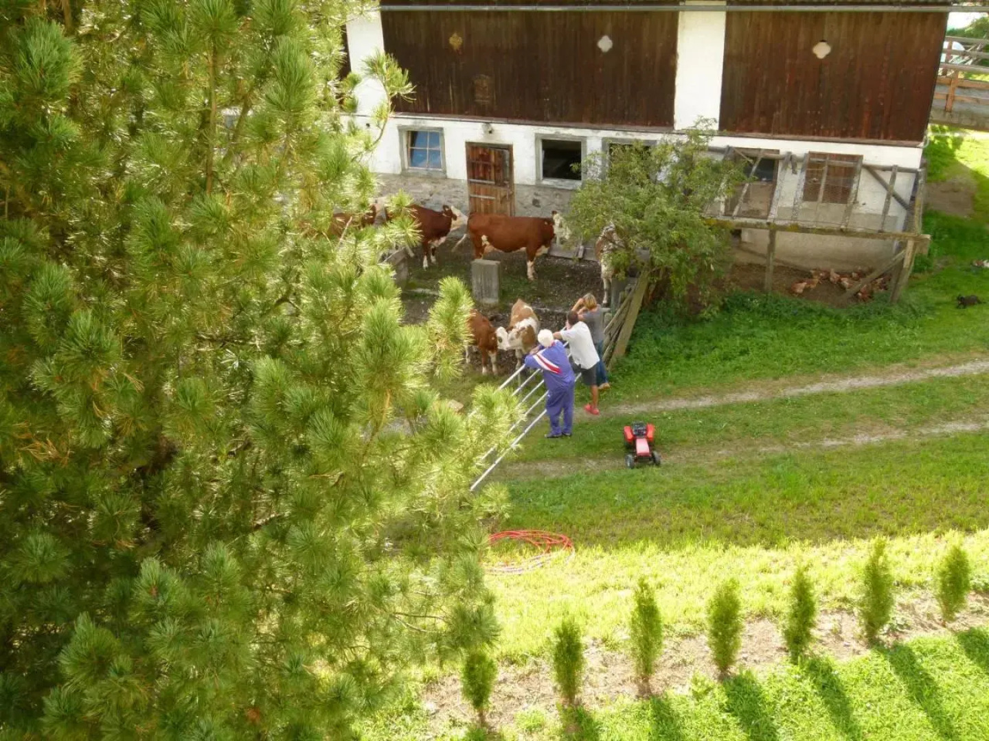 Ferienwohnungen Bachergut