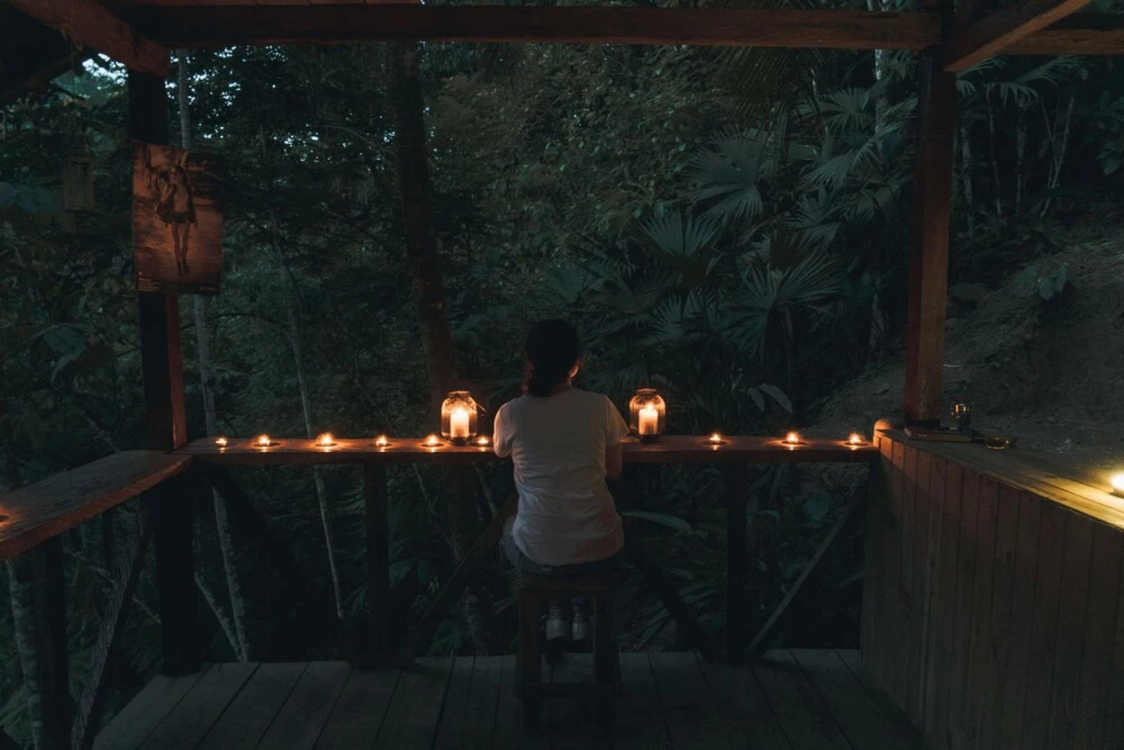 Tigrillo Rio Claroby LosColoresEcoparque