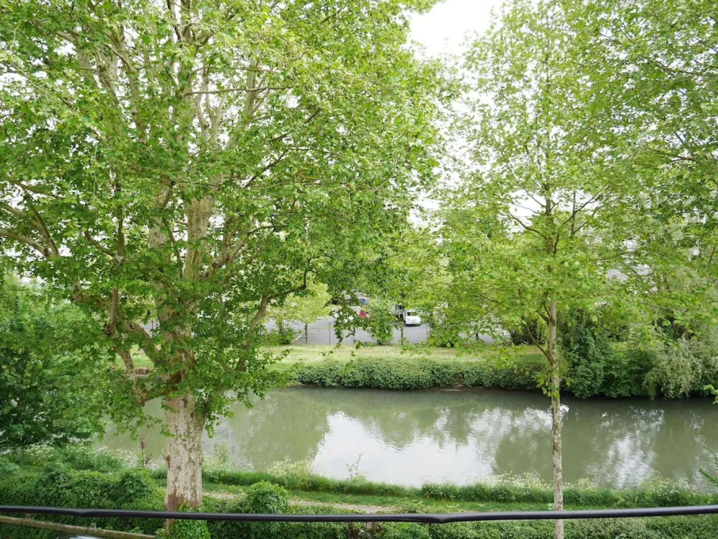 Le Chat Qui Dort - Bords de Deule