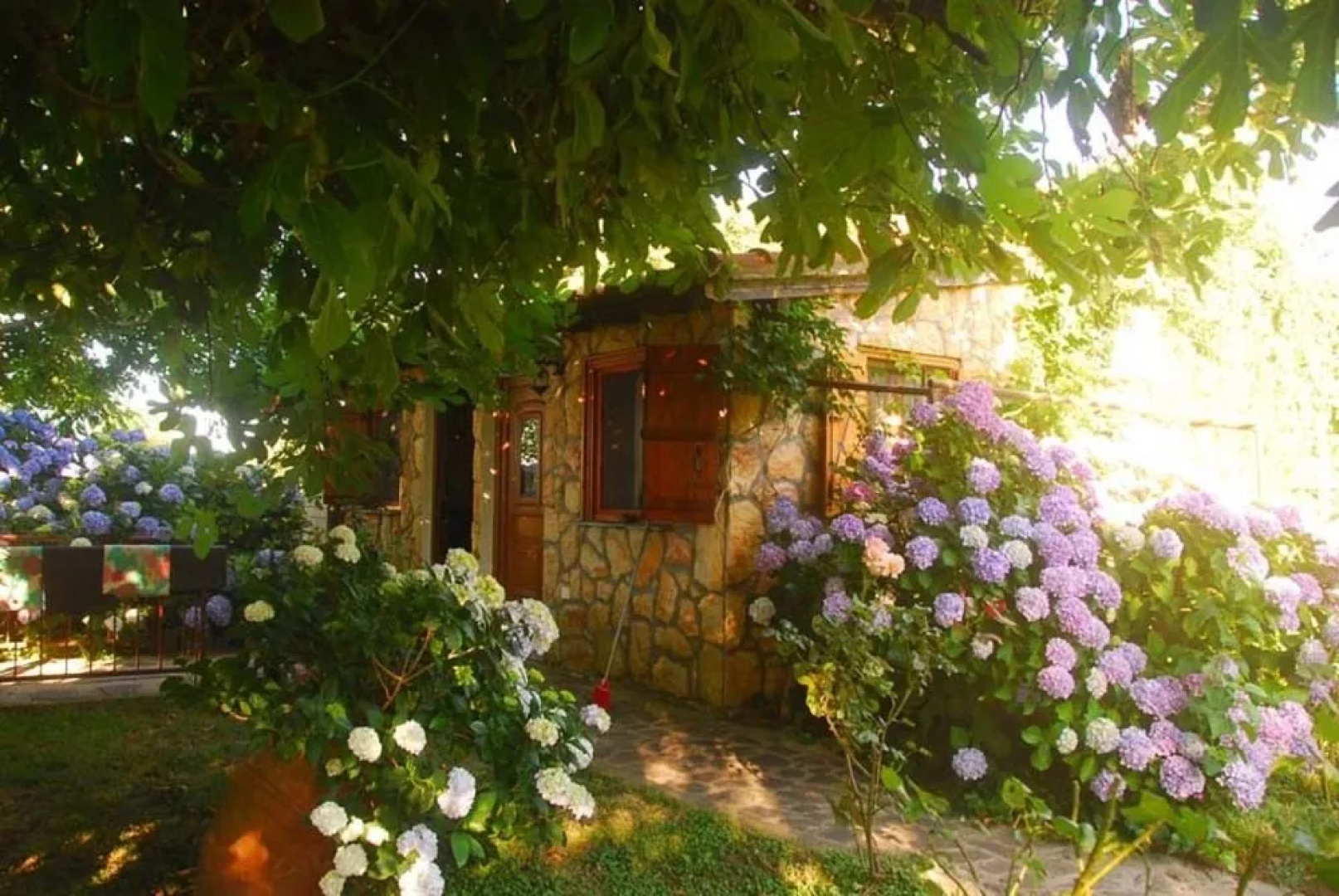 Alekas Studios