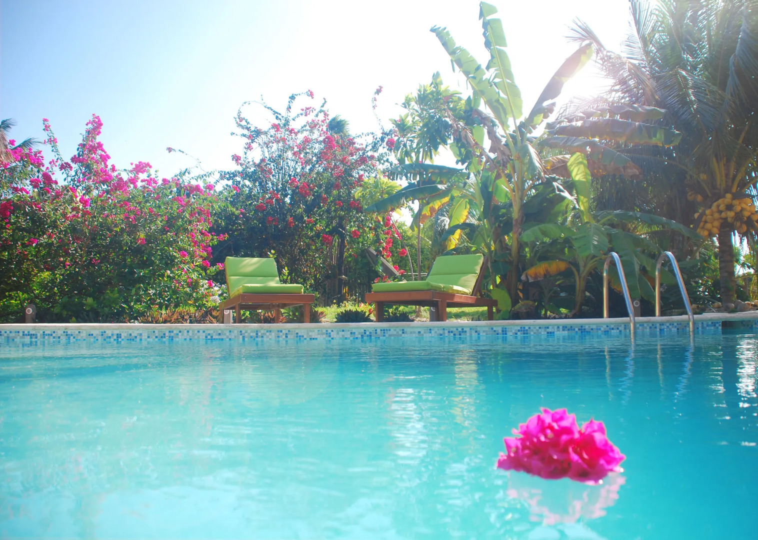 Margarita del Sol Costa Maya