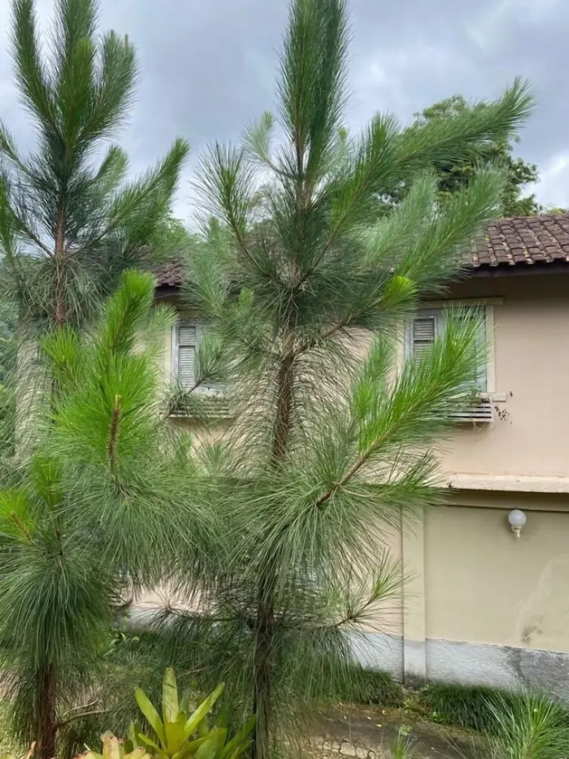 Sítio & Hospedagem Vistas de São Pedro