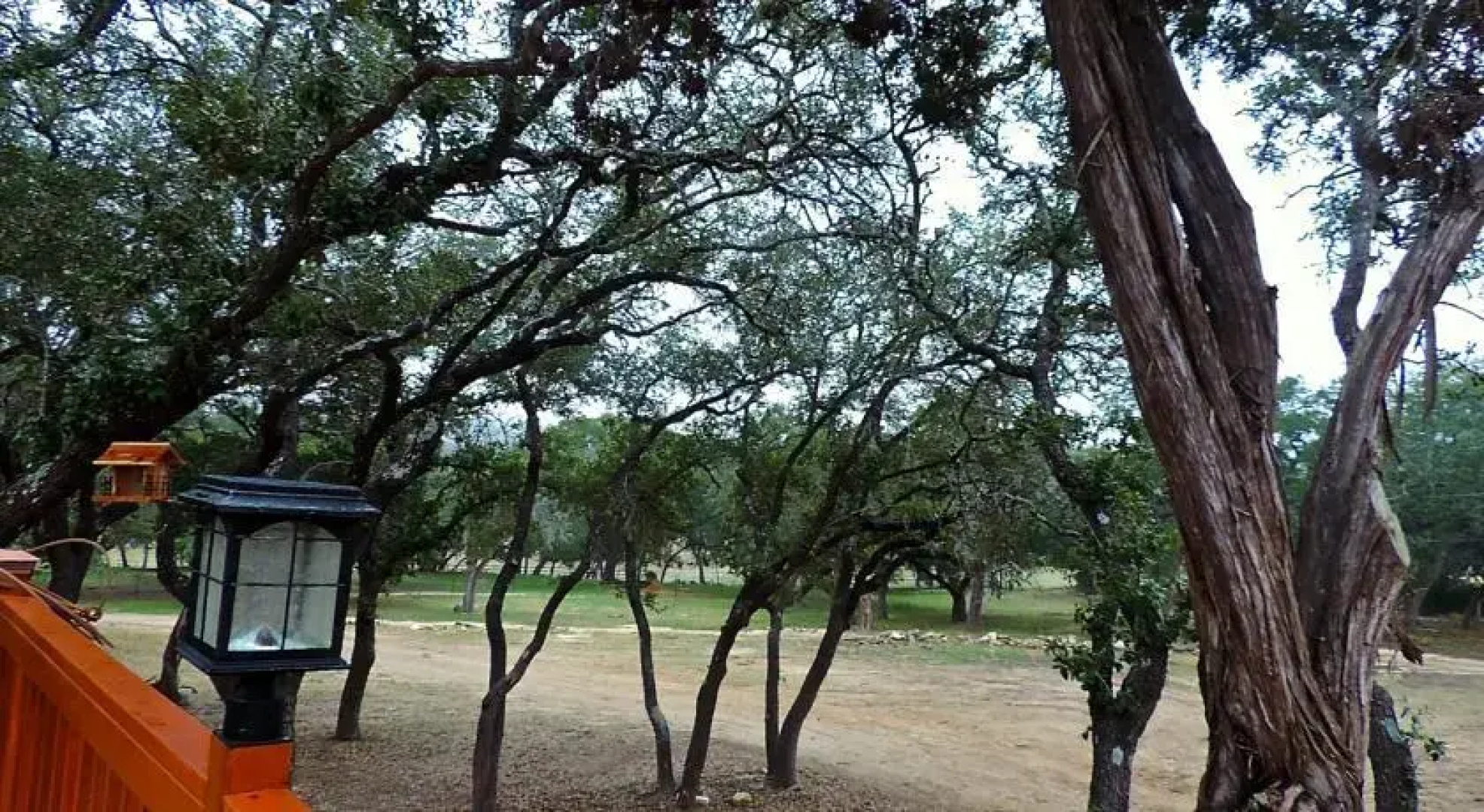 A Home Away from Home Ranch