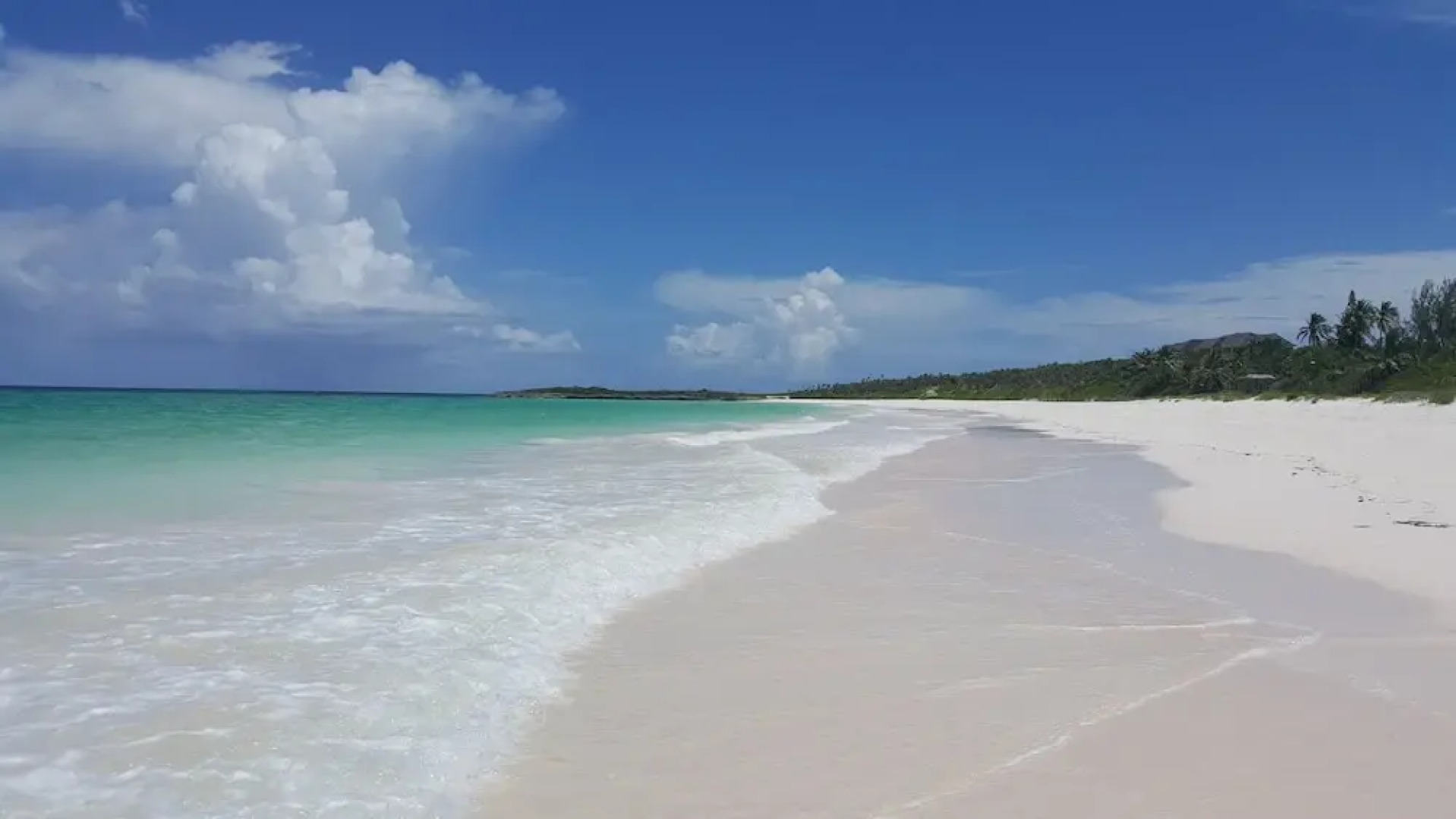 Turtle Pointe - Lux New Windermere Home W/pool, Boat Dock, Beach 3 Bedroom Home