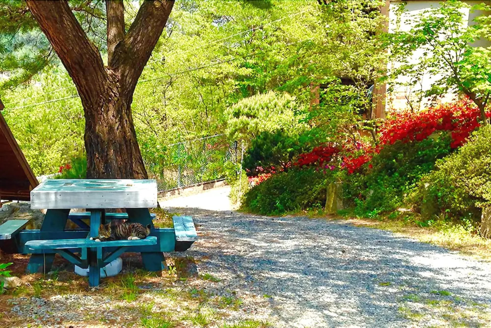 Yangsan Cozy Pension