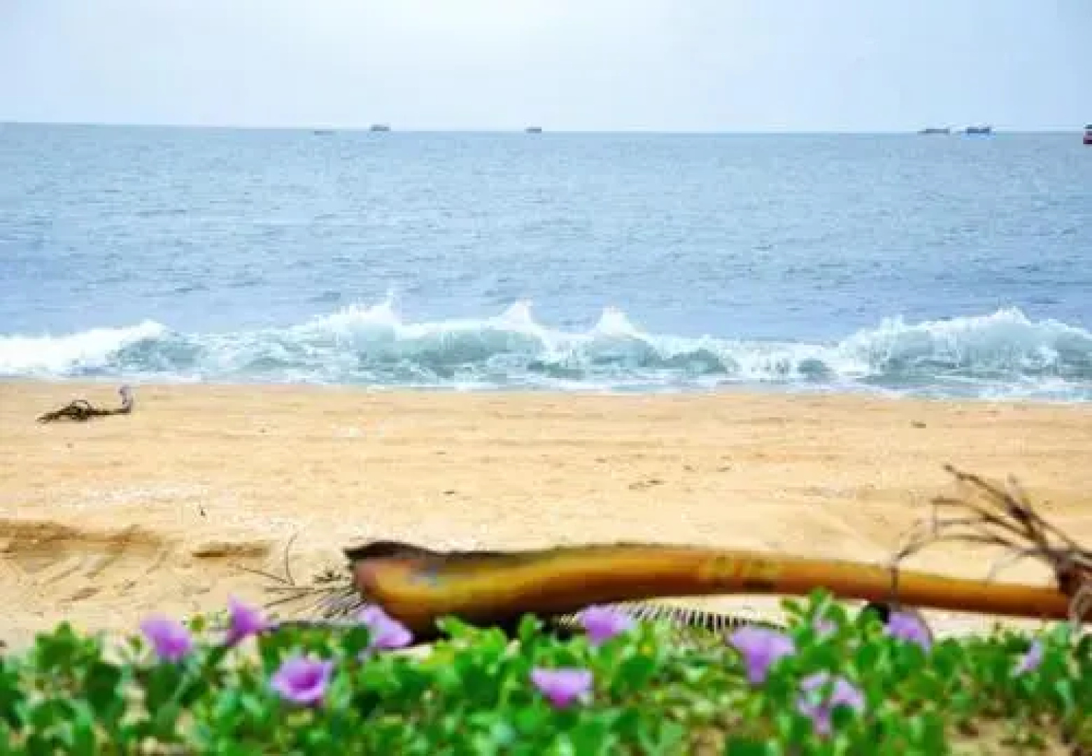 Kavvayi Beach House