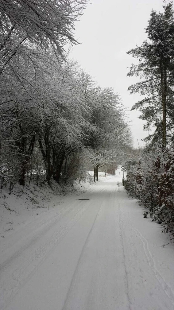 Zum-Altbreitenfelderhof