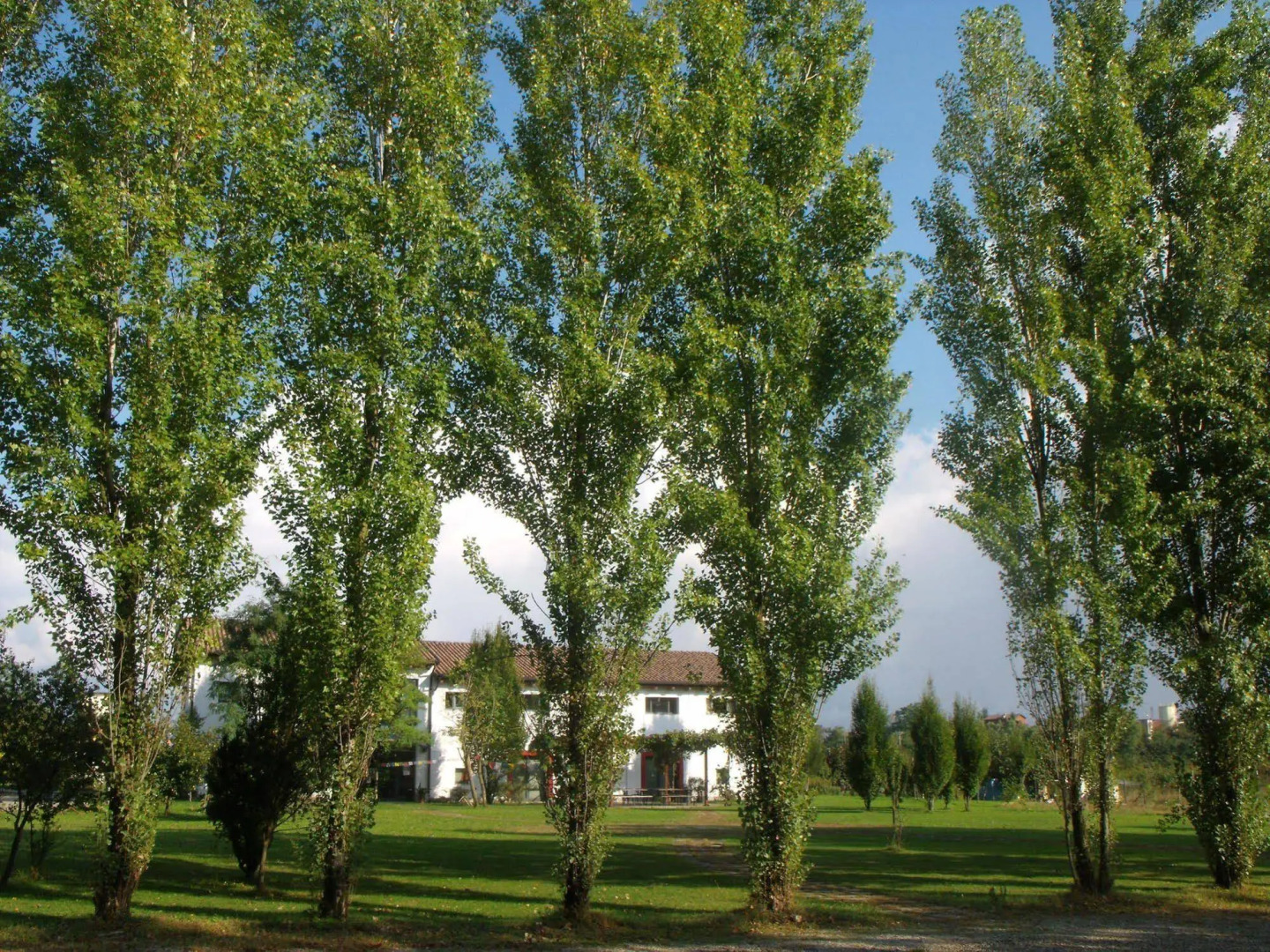 Bio Agriturismo Tirtha