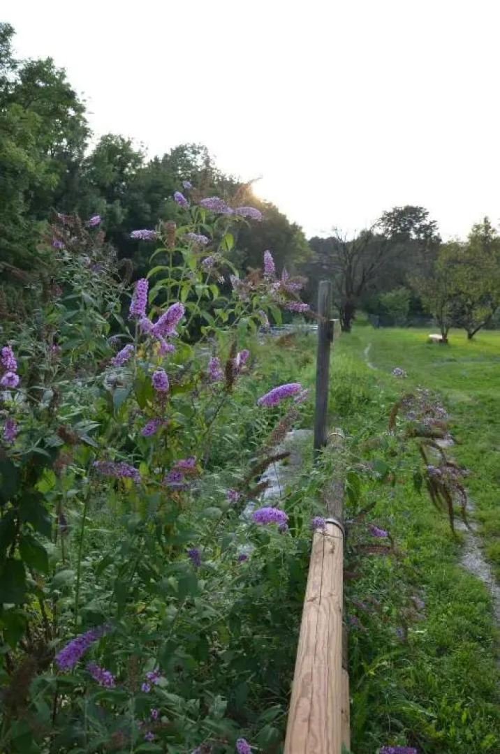 Casetta next to the Creek Sebastiano Ricci