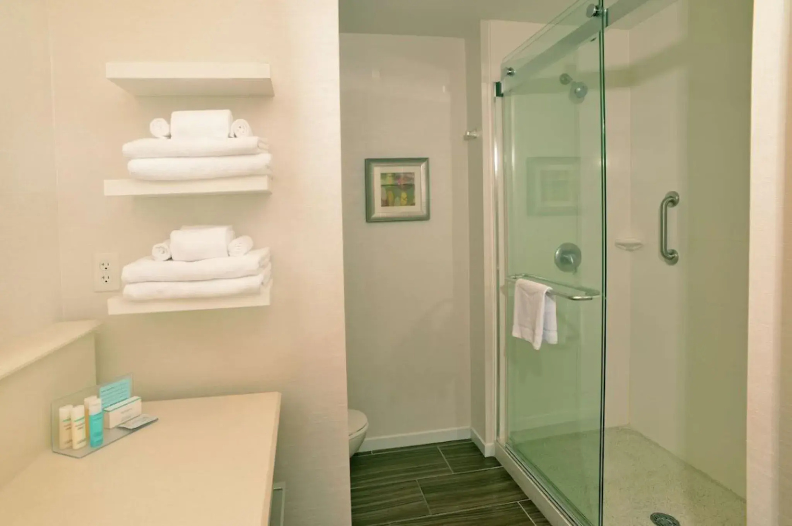 Hampton Inn Springfield-South